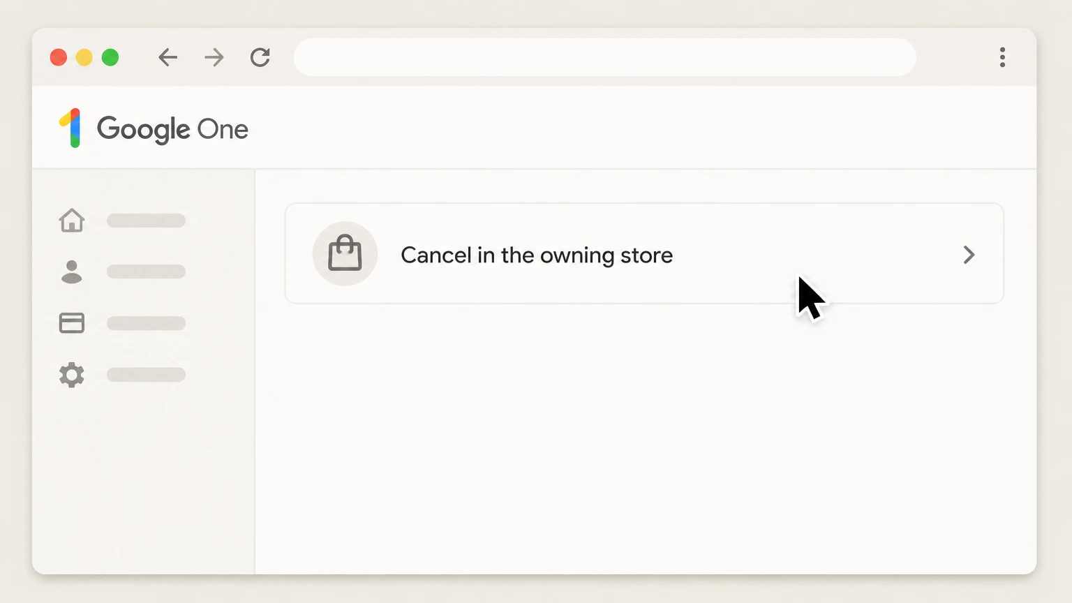 Google One cancel on the provider website: Cancel in the owning store