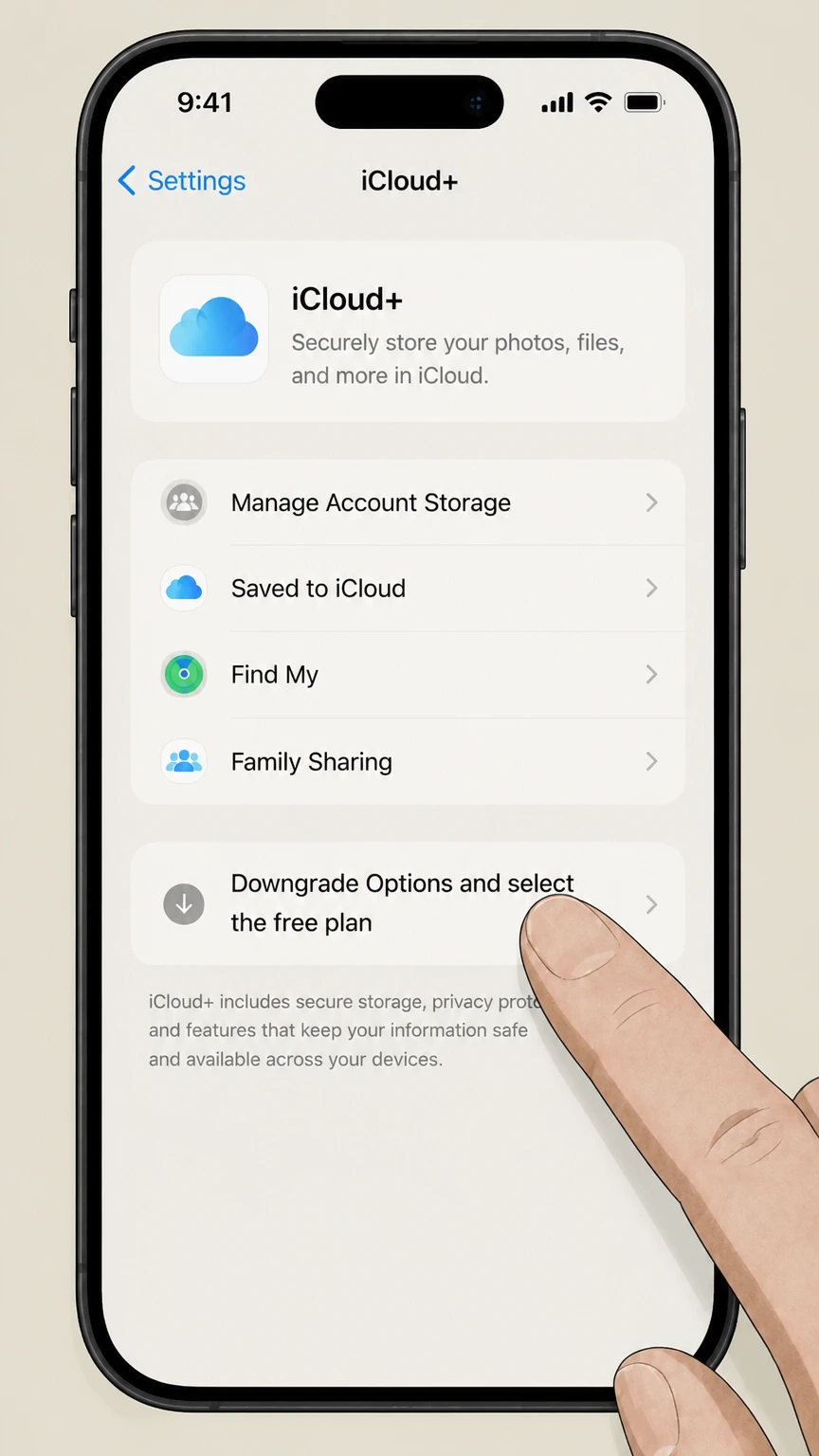 iCloud+ ios cancellation: Choose Downgrade Options and select the free plan